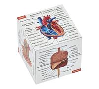 Cubo di studio sull'anatomia umana | Studio 9 parti del corpo umano | Guida perfetta per la revisione dell'anatomia | Ottimo regalo per infermieri, studenti di medicina | IN INGLESE