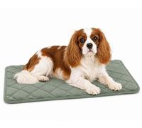 cuccia cane - cuscino ortopedico Weimar verde - memory foam antiscivolo lavabile - 55,5x38,5x2cm