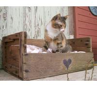 Cuccia divanetto per gatto realizzata con bancali Epal legno massello