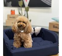 Cuccia per cani da interno Solid Blu Fabotex Blu Misura 55 - Cuccia per cani da interno in tessuto 100% poliestere, con struttura in poliuretano espanso e fondo antiscivolo, ideale per garantire comfo