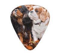 Cuccioli autunnali di Cavalier King Charles Spaniel,12 pezzi di plettri per chitarra, 3 plettri di diverso spessore per chitarra acustica, basso, ukulele