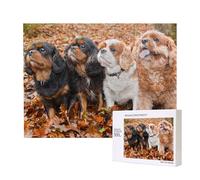 Cuccioli autunnali di Cavalier King Charles Spaniel,Puzzle in legno da 500 pezzi, gioco di famiglia, puzzle per adulti e adolescenti, decorazioni per la casa