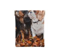Cuccioli autunnali di Cavalier King Charles Spaniel, Spremere il portafoglio superiore da donna Borsa portaoggetti Piccola portamonete Portamonete