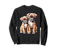 Cuccioli Boxer | Boxer Carini Felpa