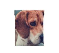 Cuccioli di Beagle Cani Animali Beagle, Spremere il portafoglio superiore da donna Borsa portaoggetti Piccola portamonete Portamonete