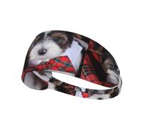 Cuccioli di Biewer Terrier,Fascia elastica per capelli multiuso unisex, fascia antisudore sportiva