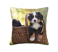 Cuccioli di Bovaro del Bernese, Federa per cuscino Federa decorativa per cuscino in morbido poliestere 45x45 cm