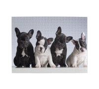 Cuccioli di bulldog francese carini, puzzle da 500 pezzi per adulti - Puzzle in legno per adulti e anziani