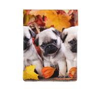Cuccioli di carlino, Custodia per laptop in pelle PU, borsa per notebook, custodia per laptop, custodia per tablet