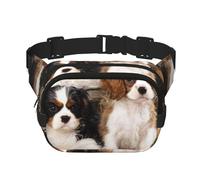 Cuccioli di Cavalier King Charles Spaniel di piccola taglia, Marsupio quadrato a doppio strato, borsa da viaggio, marsupio casual