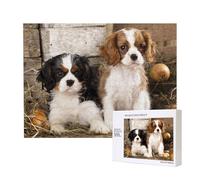 Cuccioli di Cavalier King Charles Spaniel di piccola taglia,Puzzle in legno da 500 pezzi, gioco di famiglia, puzzle per adulti e adolescenti, decorazioni per la casa