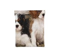 Cuccioli di Cavalier King Charles Spaniel piccoli, Spremere il portafoglio superiore da donna Borsa portaoggetti Piccola portamonete Portamonete