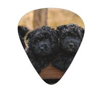 Cuccioli di famiglia Affenpinscher Cani neri Scimmia,12 pezzi di plettri per chitarra, 3 plettri di diverso spessore per chitarra acustica, basso, ukulele