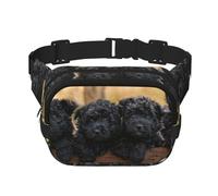 Cuccioli di famiglia Affenpinscher Cani neri Scimmia, Marsupio quadrato a doppio strato, borsa da viaggio, marsupio casual