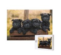 Cuccioli di famiglia Affenpinscher Cani neri Scimmia,Puzzle in legno da 300 pezzi per famiglie, per adulti e adolescenti, decorazioni per la casa