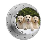 Cuccioli di Golden Retriever Timer magnetico Timer da cucina manuale per cucinare Graziosi timer per uova Orologio con conto alla rovescia rumoroso Timer con conto alla rovescia meccanico per aula
