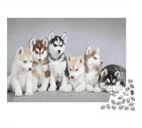 Cuccioli di Husky Puzzle 1000 Pezzi Puzzle per Adulti Cani Carini Gioco di Puzzle 1000 Pezzi Arredo Regalo Relax 70x50cm/1000pcs