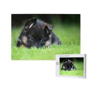 Cuccioli di pastore tedesco, animali domestici, prato, cani bokeh,Puzzle in legno da 1000 pezzi per famiglie, puzzle per adulti e adolescenti
