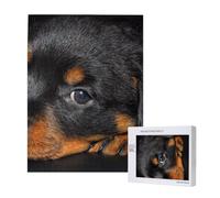 Cuccioli di Rottweiler Animali domestici Cani Rottweiler di piccola taglia,Puzzle in legno da 500 pezzi per adulti e adolescenti
