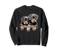 Cuccioli di Rottweiler Felpa
