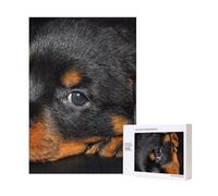 Cuccioli di Rottweiler, piccoli cani Rottweiler, puzzle in legno da 300 pezzi per il divertimento di tutta la famiglia.