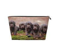 Cuccioli Labrador Marrone Piccola Famiglia Di Cuccioli, Borsa da toilette Borsa per trucco Borsa per cosmetici Borsa da toilette da viaggio portatile