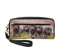 Cuccioli Labrador Marrone Piccola Famiglia Di Cuccioli, Borsa per il trucco Borsa per cosmetici Borsa da viaggio portatile da toilette Astuccio in pelle per donne e ragazze