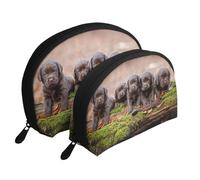 Cuccioli Labrador Marrone Piccola Famiglia Di Cuccioli, Borsa per trucco a conchiglia Portamonete da donna Borsa da toilette piccola Borsa per cosmetici 2 pezzi