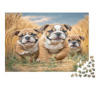 Cuccioli nel Campo di Grano Puzzle 1000 Pezzi Carta per Adulti Cani che Corrono Gioco di Puzzle 1000 Pezzi Relax Casa 52x38cm/1000pcs