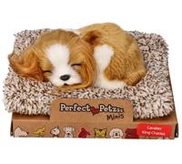 Cucciolo che dorme Cavalier King Charles Perfect Petzzz