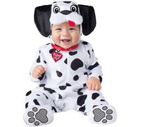Cucciolo Dalmata
