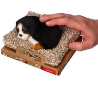 Cucciolo di bovaro del bernese su letto Perfect Petzzz
