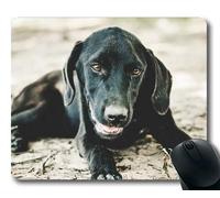Cucciolo di Cane Mouse Pad Mousepad, Animali Gattino Cane Golden Retriever Cucciolo Mousepad Rubber YT 027