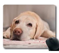 Cucciolo di Cane Mouse Pad Mousepad, Animali Gattino Cane Golden Retriever Cucciolo Mousepad Rubber YT 023