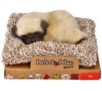 Cucciolo di carlino Perfect Petzzz