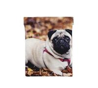 Cucciolo di carlino, Spremere il portafoglio superiore da donna Borsa portaoggetti Piccola portamonete Portamonete