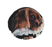 Cucciolo di Cavalier King Charles Spaniel color rubino,Cuffia da doccia, cuffia da notte, doppio strato, impermeabile, elastica, riutilizzabile.