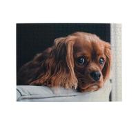 Cucciolo di Cavalier King Charles Spaniel Ruby, puzzle da 500 pezzi per adulti - Puzzle in legno per adulti e anziani