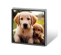 Cucciolo di Golden Retriever carino stampato distintivo quadrato in metallo distintivo bottone decorativo spilla spille da bavero borsa cappello accessori per donne uomini alluminio