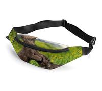 Cucciolo di orso bruno con farfalla Cucciolo di orso bruno con farfalla, sportivo per bambini adulti per uomo donna