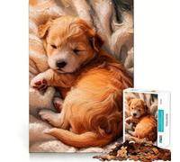Cucciolo dorato addormentato su una coperta - Puzzle da 1000 pezzi per adulti - Gioco di logica e stimolazione mentale - Antistress - Taglio preciso 50x75cm
