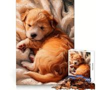 Cucciolo dorato addormentato su una coperta - Puzzle per adolescenti da 1000 pezzi - Gioco di logica - Divertimento per tutta la famiglia - Bordo premium 38x26cm