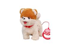 Cucciolo interattivo parlante e canterino con coda che scodinzola e lingua che si lecca, perfetto per i bambini. Caratteristiche: (White, 32cm)