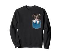 Cucciolo puntatore Tedesco a Pelo Corto in Una Tasca con Gli Occhiali Felpa