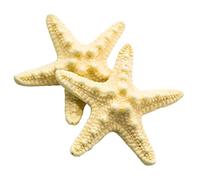 Cucile per capelli Resin Beach Sea Star Pins Clip Accessori per le donne 2 pezzi, accessori per capelli per donne