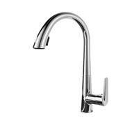 Cucina con spruzzatore a tiro Verso Il Basso, Impugnatura Singola, Arco, Finitura in Acciaio Inossidabile di Difesa Spot, Arco Alto, Rubinetto della Cucina