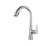 Cucina con spruzzatore a tiro Verso Il Basso, Impugnatura Singola, Arco, Finitura in Acciaio Inossidabile di Difesa Spot, Arco Alto, Rubinetto della Cucina