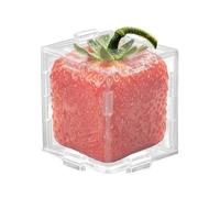 Cucumber Growth Mold - Vegetable Shaping Forming Tool for Garden Use | Transparent Fruit Forming Case with Adjustable Lock System, Plant Training Mold for Cucumber Pumpkin