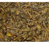 Cucunci - Frutti del Cappero con gambo Sotto Sale | Giurba Conserve, Sicilia | 1kg