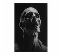 CUDAOO Decorazione da parete spettrale di Halloween murale moderna Cadavere dell'Orrore Per Casa Soggiorno Camera Da Letto Cucina Bagno(nero294)-60x90cm Non incorniciato